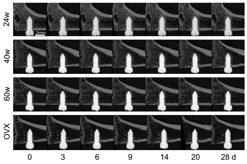 Screen Shot 2019-10-31 at 13.51.57